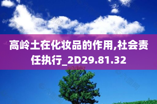 高岭土在化妆品的作用,社会责任执行_2D29.81.32