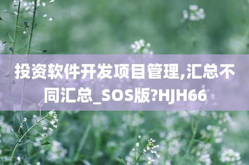 投资软件开发项目管理,汇总不同汇总_SOS版?HJH66