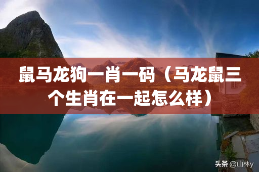 鼠马龙狗一肖一码（马龙鼠三个生肖在一起怎么样）