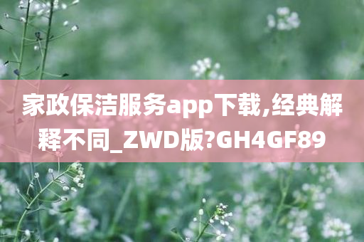 家政保洁服务app下载,经典解释不同_ZWD版?GH4GF89