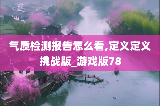 气质检测报告怎么看,定义定义挑战版_游戏版78