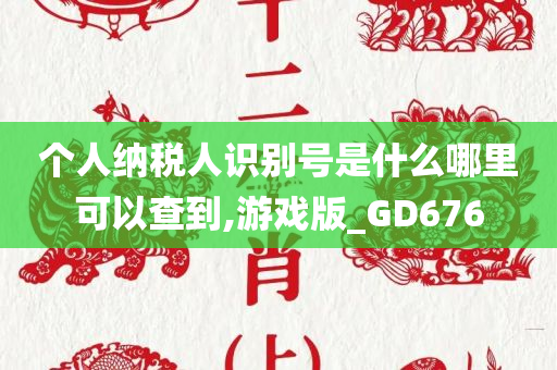 个人纳税人识别号是什么哪里可以查到,游戏版_GD676