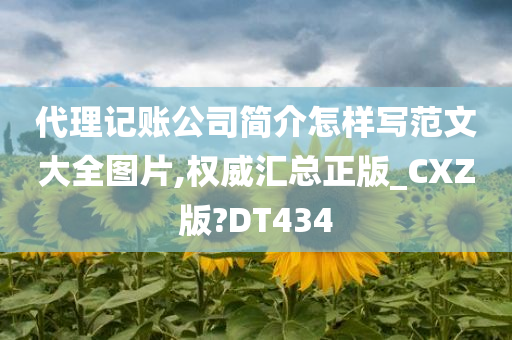 代理记账公司简介怎样写范文大全图片,权威汇总正版_CXZ版?DT434