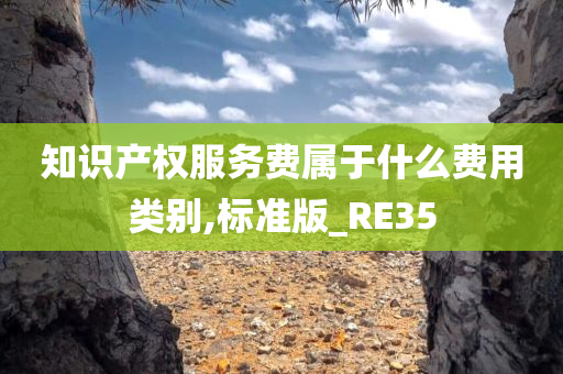 知识产权服务费属于什么费用类别,标准版_RE35