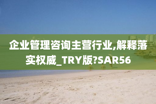 企业管理咨询主营行业,解释落实权威_TRY版?SAR56