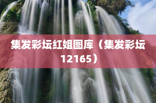 集发彩坛红姐图库（集发彩坛12165）