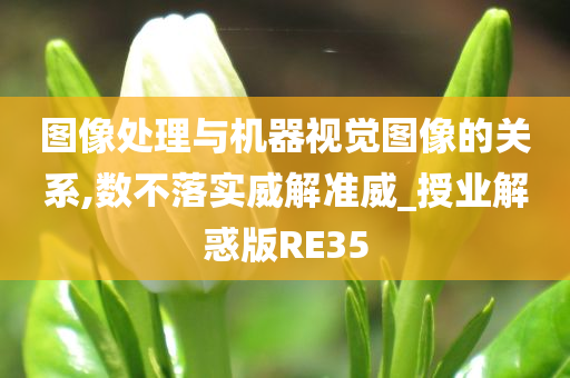 图像处理与机器视觉图像的关系,数不落实威解准威_授业解惑版RE35