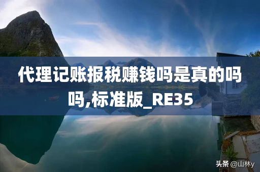 代理记账报税赚钱吗是真的吗吗,标准版_RE35