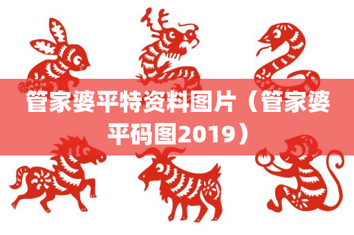 管家婆平特资料图片（管家婆平码图2019）