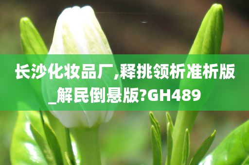 长沙化妆品厂,释挑领析准析版_解民倒悬版?GH489