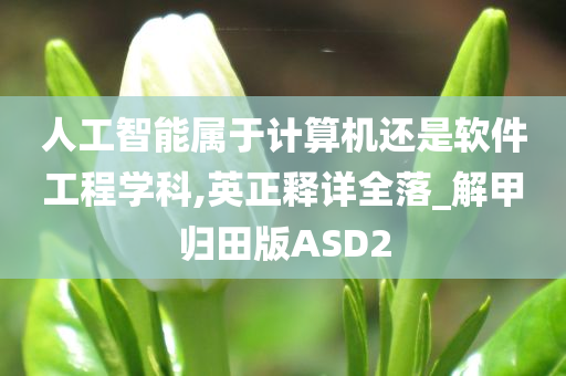 人工智能属于计算机还是软件工程学科,英正释详全落_解甲归田版ASD2