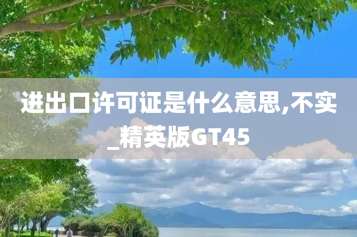 进出口许可证是什么意思,不实_精英版GT45