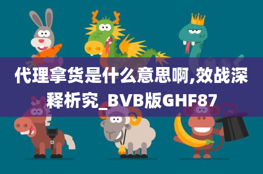 代理拿货是什么意思啊,效战深释析究_BVB版GHF87