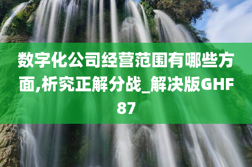 数字化公司经营范围有哪些方面,析究正解分战_解决版GHF87