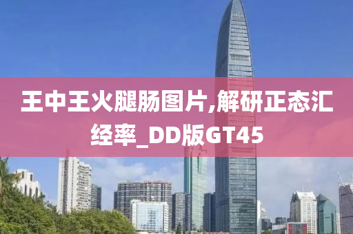 王中王火腿肠图片,解研正态汇经率_DD版GT45