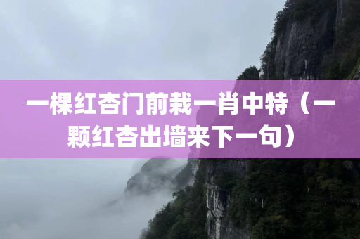 一棵红杏门前栽一肖中特（一颗红杏出墙来下一句）