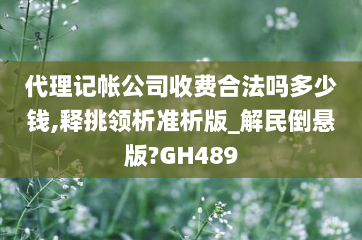 代理记帐公司收费合法吗多少钱,释挑领析准析版_解民倒悬版?GH489