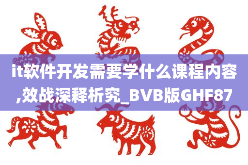 it软件开发需要学什么课程内容,效战深释析究_BVB版GHF87