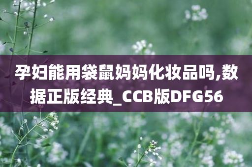 孕妇能用袋鼠妈妈化妆品吗,数据正版经典_CCB版DFG56