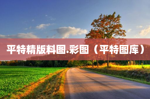 平特精版料图.彩图（平特图库）