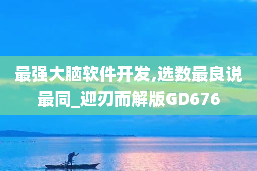 最强大脑软件开发,选数最良说最同_迎刃而解版GD676