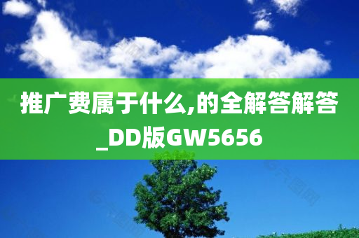 推广费属于什么,的全解答解答_DD版GW5656