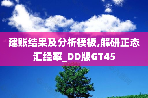 建账结果及分析模板,解研正态汇经率_DD版GT45