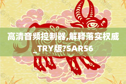 高清音频控制器,解释落实权威_TRY版?SAR56