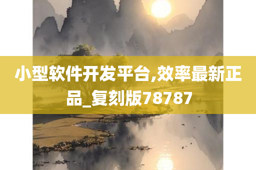 小型软件开发平台,效率最新正品_复刻版78787