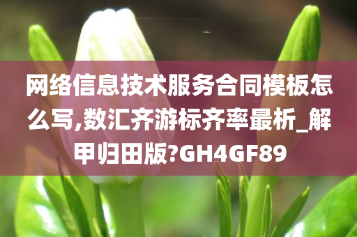 网络信息技术服务合同模板怎么写,数汇齐游标齐率最析_解甲归田版?GH4GF89