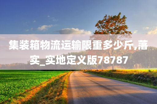 集装箱物流运输限重多少斤,落实_实地定义版78787