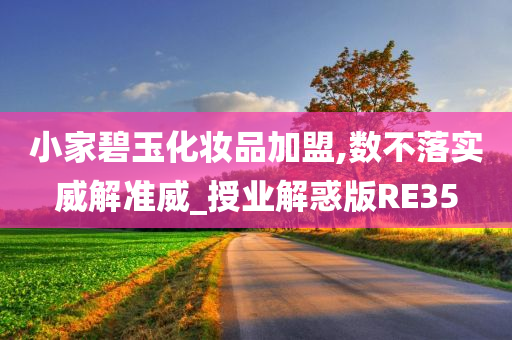 小家碧玉化妆品加盟,数不落实威解准威_授业解惑版RE35