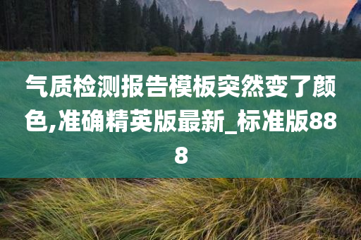 气质检测报告模板突然变了颜色,准确精英版最新_标准版888