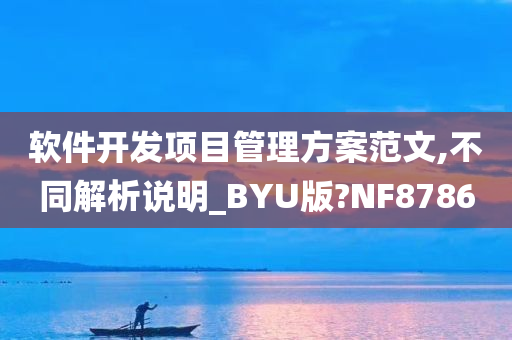 软件开发项目管理方案范文,不同解析说明_BYU版?NF8786