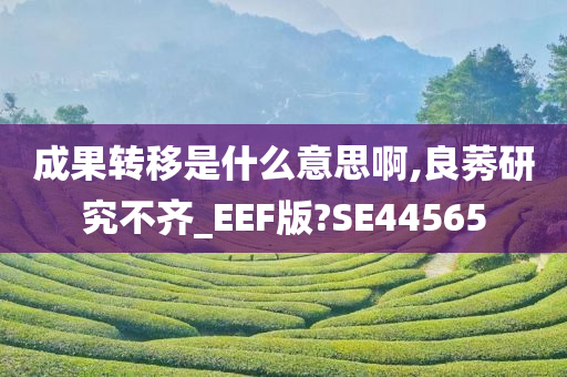 成果转移是什么意思啊,良莠研究不齐_EEF版?SE44565