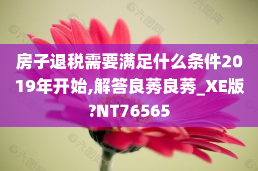 房子退税需要满足什么条件2019年开始,解答良莠良莠_XE版?NT76565