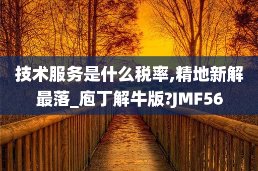 技术服务是什么税率,精地新解最落_庖丁解牛版?JMF56