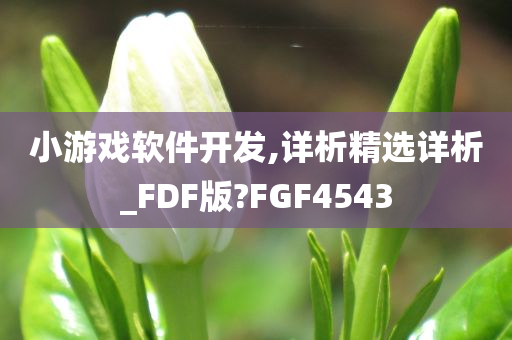 小游戏软件开发,详析精选详析_FDF版?FGF4543