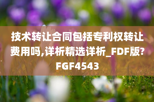 技术转让合同包括专利权转让费用吗,详析精选详析_FDF版?FGF4543