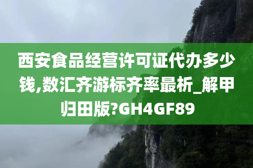 西安食品经营许可证代办多少钱,数汇齐游标齐率最析_解甲归田版?GH4GF89