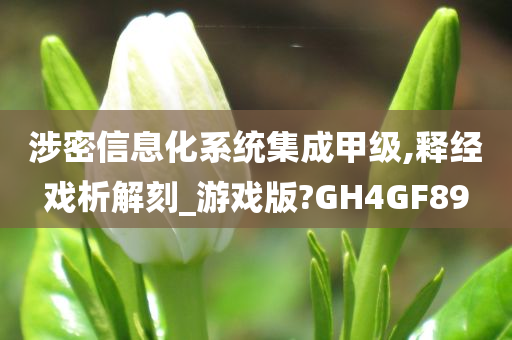 涉密信息化系统集成甲级,释经戏析解刻_游戏版?GH4GF89