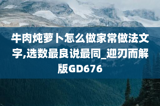 牛肉炖萝卜怎么做家常做法文字,选数最良说最同_迎刃而解版GD676