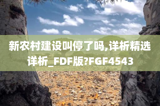 新农村建设叫停了吗,详析精选详析_FDF版?FGF4543