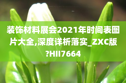 装饰材料展会2021年时间表图片大全,深度详析落实_ZXC版?HII7664