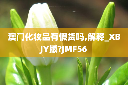 澳门化妆品有假货吗,解释_XBJY版?JMF56