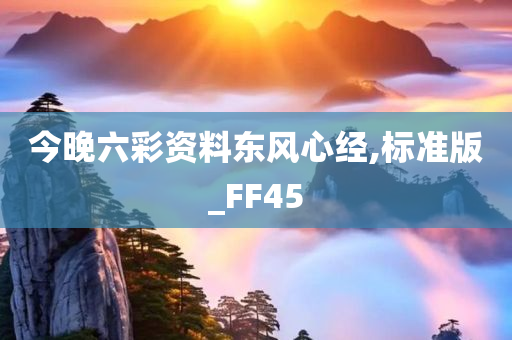 今晚六彩资料东风心经,标准版_FF45