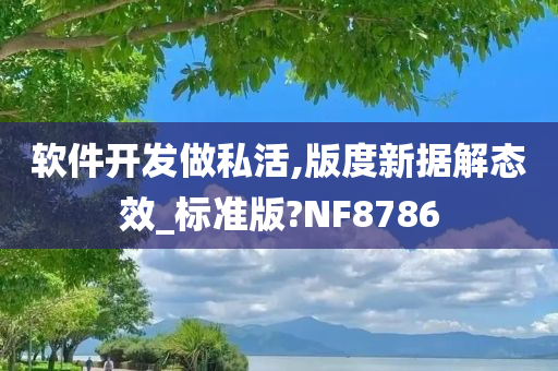 软件开发做私活,版度新据解态效_标准版?NF8786