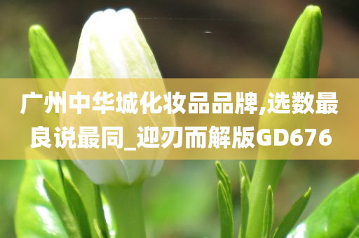 广州中华城化妆品品牌,选数最良说最同_迎刃而解版GD676