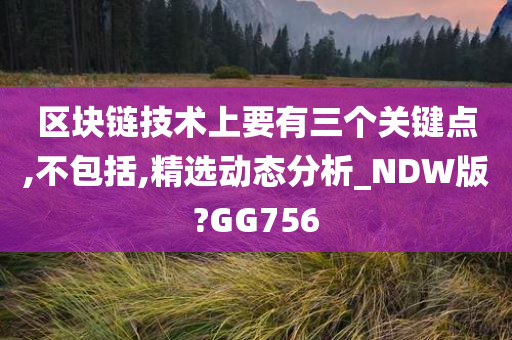 区块链技术上要有三个关键点,不包括,精选动态分析_NDW版?GG756