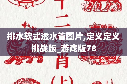 排水软式透水管图片,定义定义挑战版_游戏版78